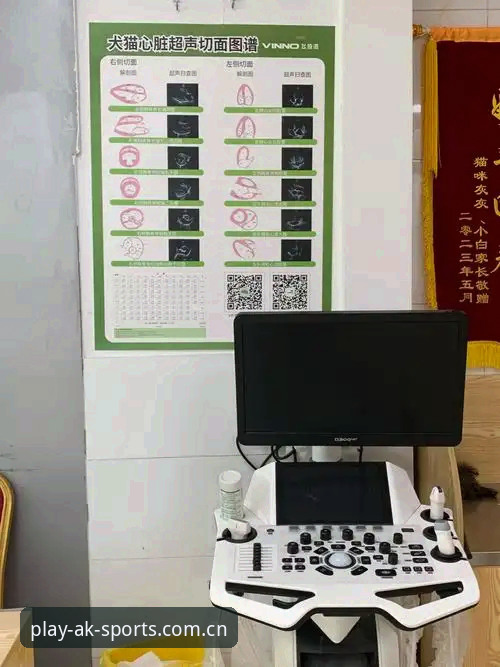 AK体育中国注册流程 揭秘AK体育中国注册流程背后的真相:一个老牌平台如何用2.0.0版本改写规则